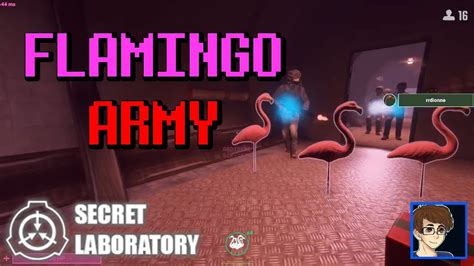 FLAMINGO ARMY SCP Secret Laboratory YouTube