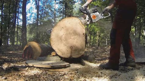 Stihl MS 661 Stock Vs Ported YouTube