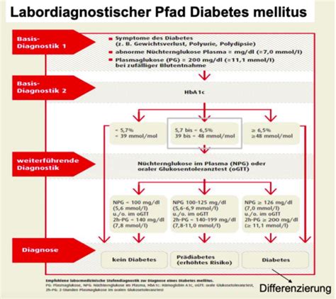 Labordiagnostik Des Glukose Und Lipidstoffwechsels Flashcards Quizlet