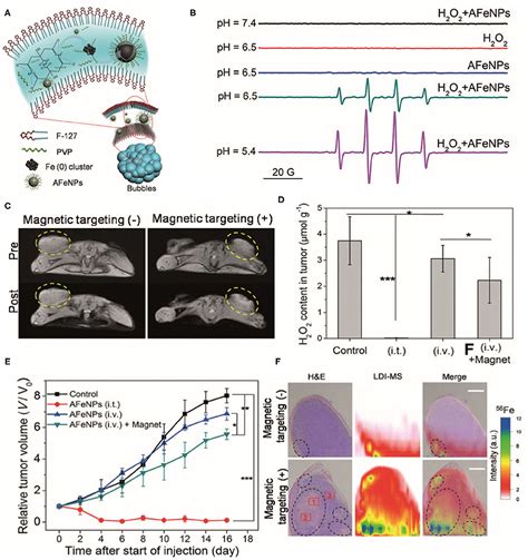 Frontiers Reactive Oxygen Species Based Nanomaterials For Cancer Therapy