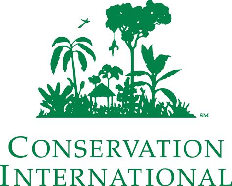 Conservation International Logo Vector - (.Ai .PNG .SVG .EPS Free Download) VectorSeek