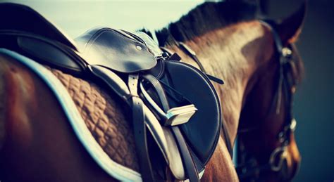 What Horse Owners Need To Know About Exercise Induced Pulmonary