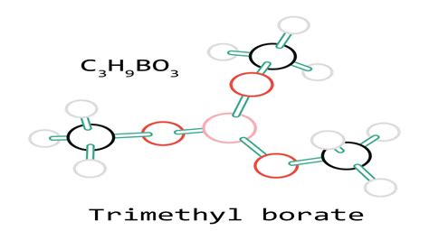 A Class Of Borate Ester: Trimethyl Borate | Borates Today