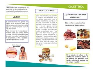 Colesterol Pdf Descarga Gratuita