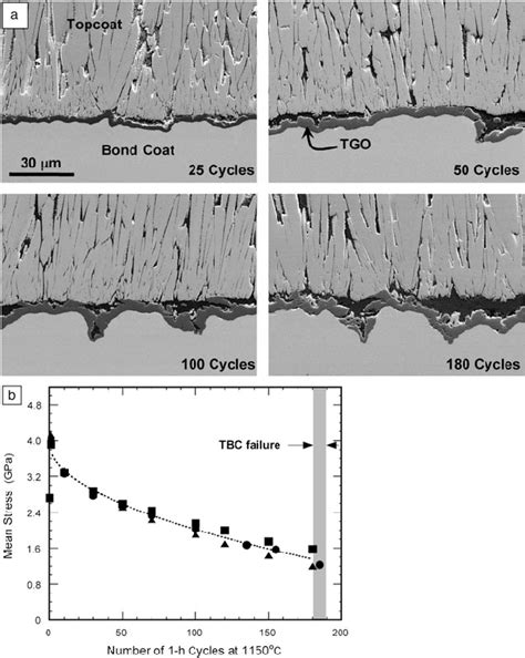 A Cross Sectional Scanning Electron Microscopy Images Showing The