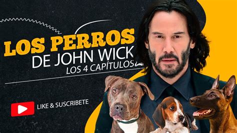 Los Perros De John Wick Youtube