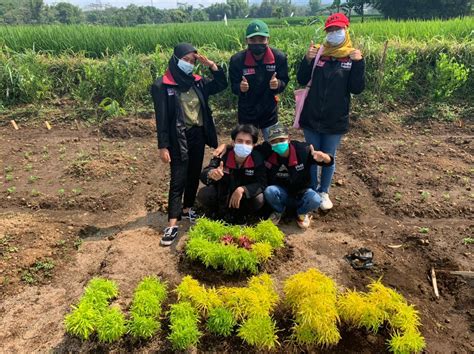 Mahasiswa PMM UMM Ikut Serta Pengembangan Taman Wisata Di Plosok Desa