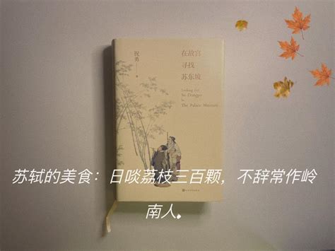 《苏东坡》让我明白：只有豁达的心胸才能够隔着千年时光治愈人 知乎