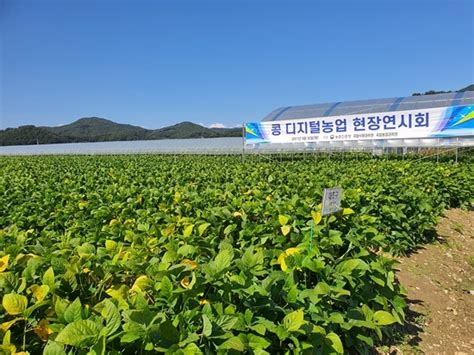 괴산군 노지스마트농업 실증시험 현장연시회 개최 복덩이뉴스