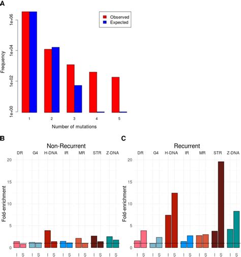 Noncanonical Secondary Structures Arising From Non B Dna Motifs Are