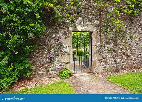 Old, stone garden wall stock photo. Image of fence, aged - 25367652