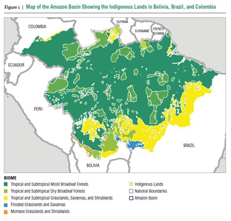 A Cost Benefit Analysis Of Securing Indigenous Land Rights In The Amazon