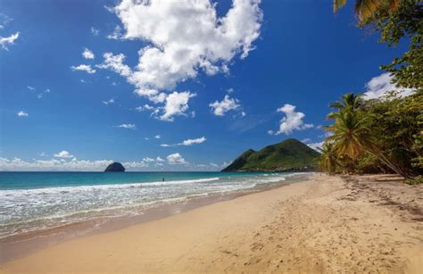 Quelles Sont Les Plus Belles Plages De Martinique