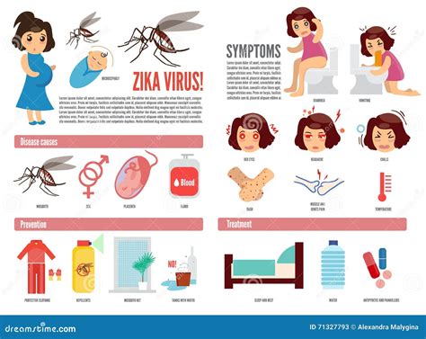 Zika Virus Und Dengue Fieber Virus Infographic Vektor Abbildung