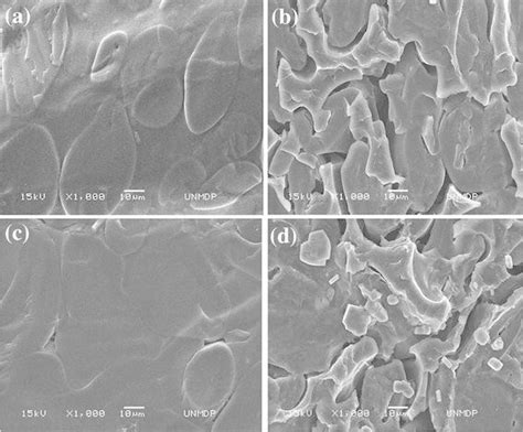 1SEM Micrographs Of The Cryogenic Fracture Surface Of The Films Based