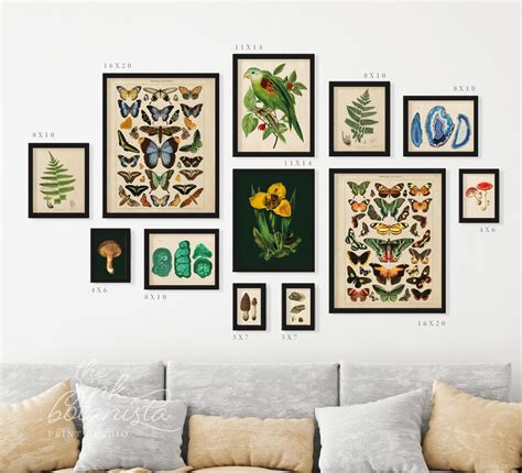 Set Von 12 Botanischen Drucken Galerie Wanddruck Set Vintage