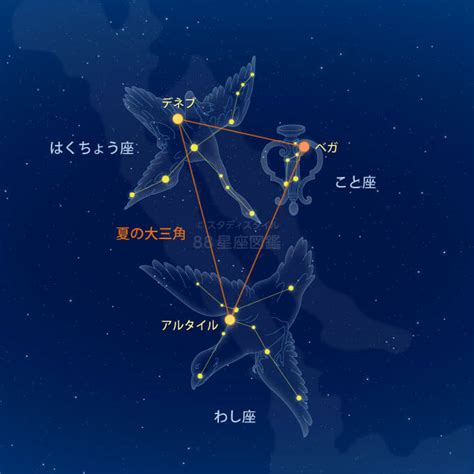 夏の星座の種類の検索結果 Yahooきっず検索