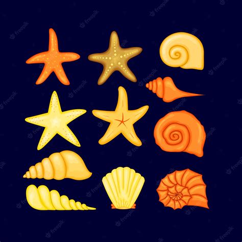 Premium Vector Colorful Tropical Shells Underwater Icon Set Frame Of