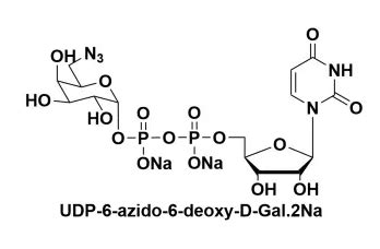 Udp D Udp Azido Deoxy D Galactose Disodium Salt