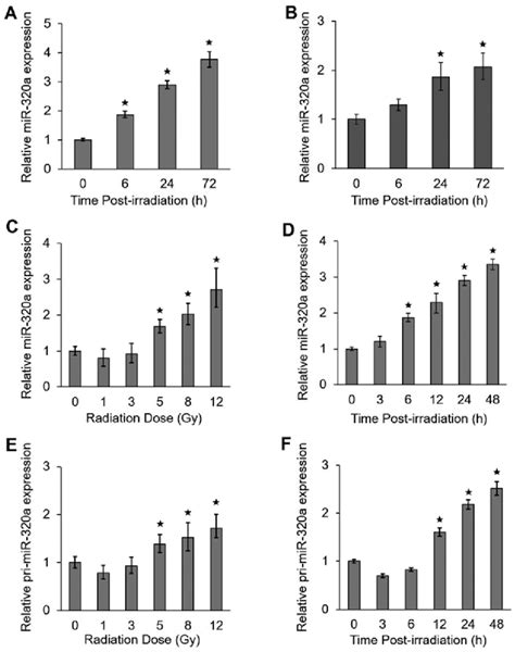 Mir 320a Expression Is Induced By Ionizing Radiation A And B