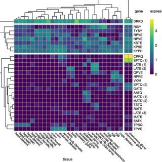 Expression Profiling Of FAD Genes In Different Tissues Of Cydia