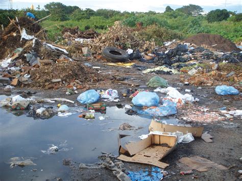 Agenda Teresina Pesquisa Na Ufpi Revela Contaminação Do Solo