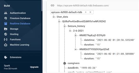 Flutter How To Store Data In Firebase Real Time Database Under