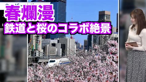 ウェザーニュースlive On Twitter この週末は桜が見頃を迎えたエリアが多く、ウェザーニュースには満開の桜と共に、さまざまな