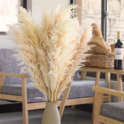 Amazon Stems Pampas Grass Tall Extra Fluffy Ft Dried