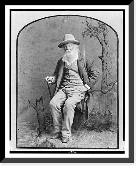 Historic Framed Print Walt Whitman Full Length Portrait Seated