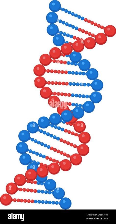 Dna Genetic Vector Helix Gene Molecule Structure Stock Vector Image