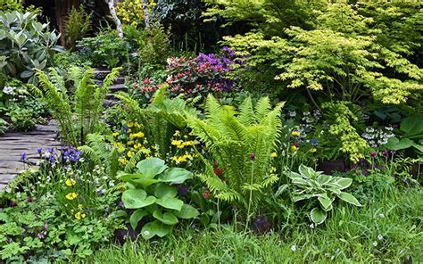 Creating A Bog Garden David Domoney