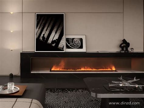 Dinz Enjoydesign In Contemporary Fireplace