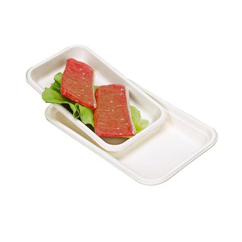 Customizable Bagasse Sugarcane Biodegradable Disposable Rectangle Meat