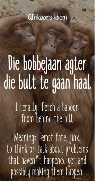 25 Best Afrikaans Idioms And Proverbs Ever With Images Za