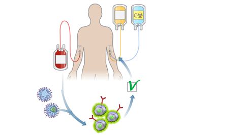 T-cells and cancer