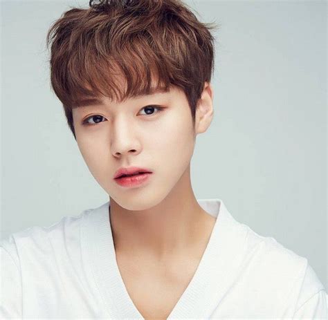 Biodata Profil Dan Foto Personil Wanna One Lengkap Dailysia Profil