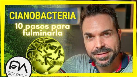 Pasos Para Eliminar La Cianobacteria De Tu Acuario Por Completo