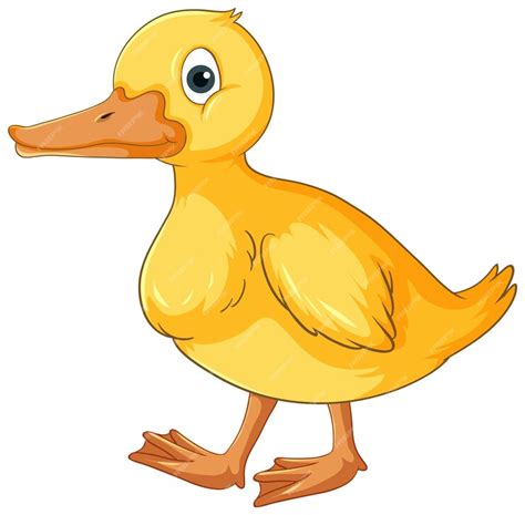 Pato Amarelo Desenho - Personagem de desenho animado de pato amarelo | Vetor Premium