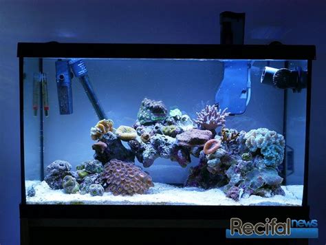 Eheim Aquastar Marine Suivi D Un Aquarium R Cifal R Cifal News