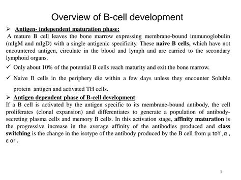 Solution B Cell Activation Differentiation And Humoral Response