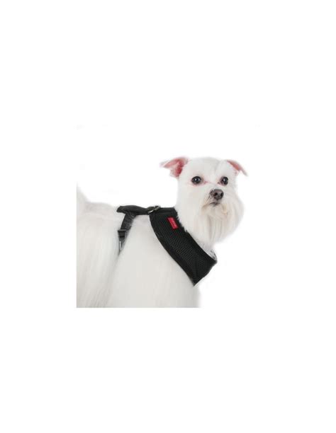 Harnais Pour Chien Noir Puppia Soft