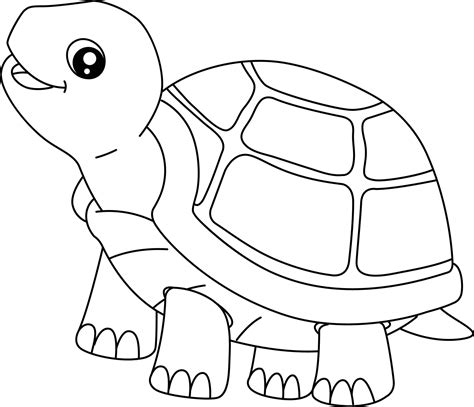 Turtle Pictures To Color