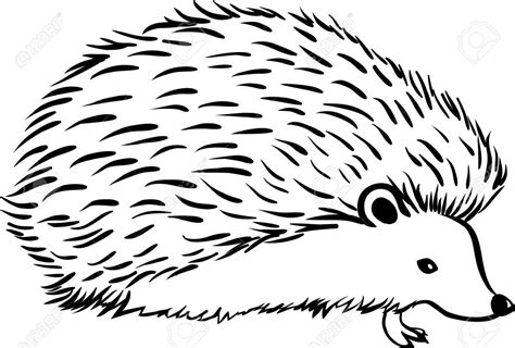 black and white hedgehog clipart 10 free Cliparts | Download images on ...