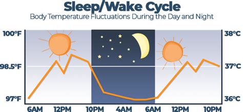 Thermoregulation Guide How Body Temp Regulation Works During Sleep