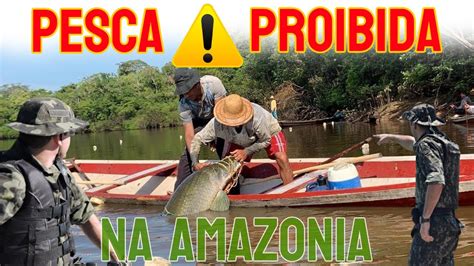 Piracema Na Amaz Nia Pesca Proibida Pesca Esportiva Pira Ba