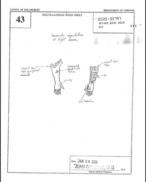 Kobe Bryant Autopsy Report Gigi Kobe Bryant Accident Explained