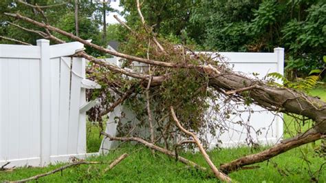 Does Homeowners Insurance Cover Fence Damage All Around Fence