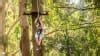 Tree Top Adventure Park Experience Central Coast Adrenaline Adrenaline