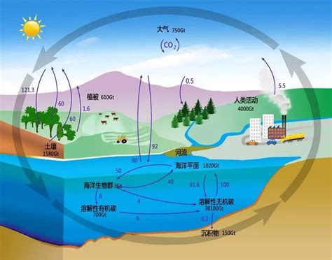 什么是碳循环、碳达峰、碳中和？有了个人碳账户，你更愿意低碳生活吗？腾讯新闻